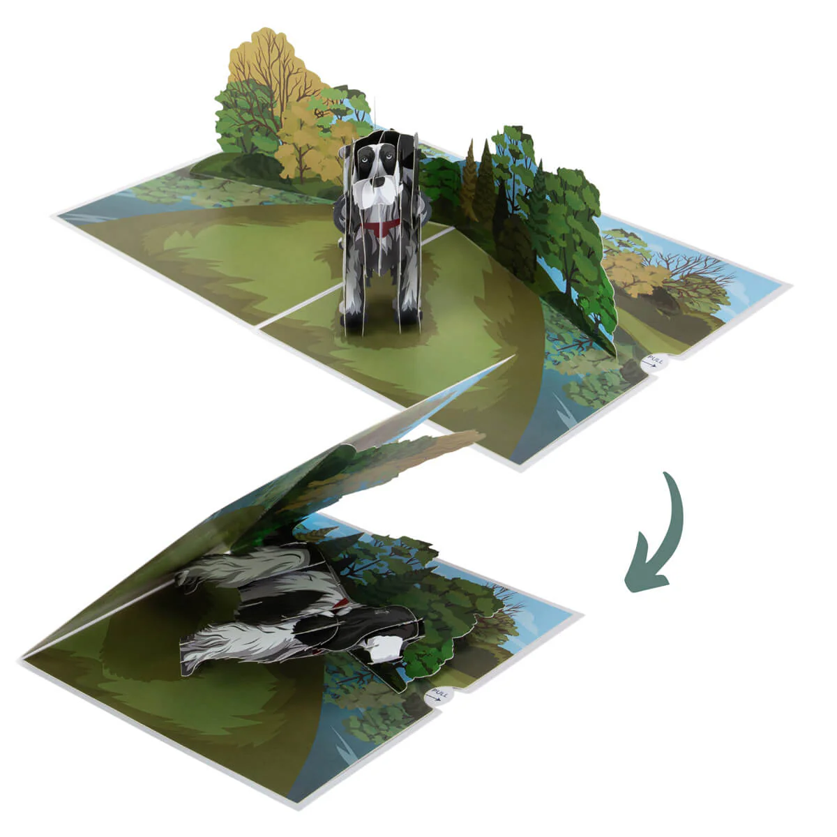 Cocker Spaniel Pop Up Card - Image 6