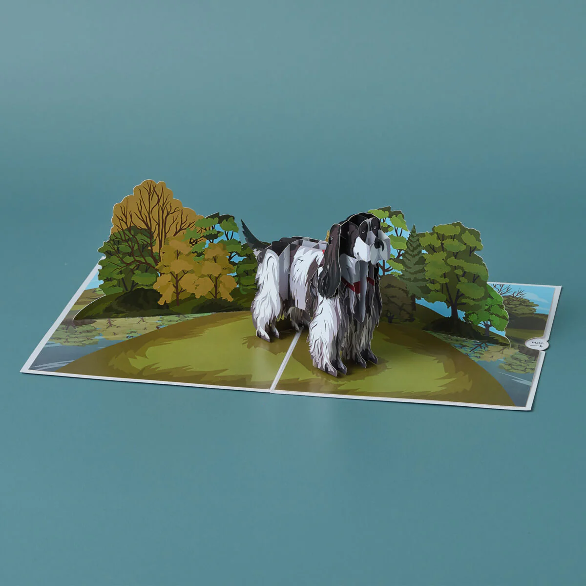 Cocker Spaniel Pop Up Card - Image 7