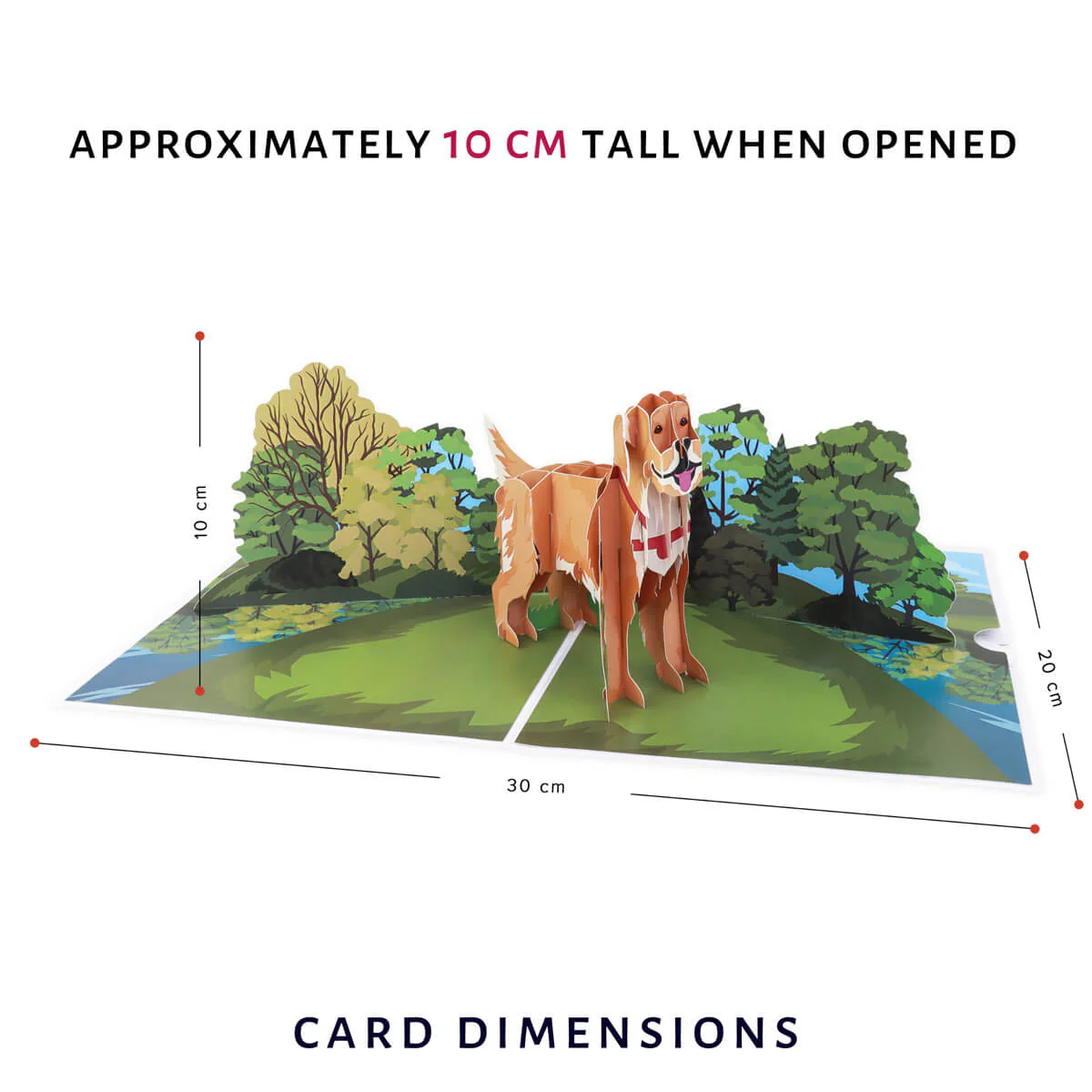 Golden Retriever Pop Up Card - Image 4