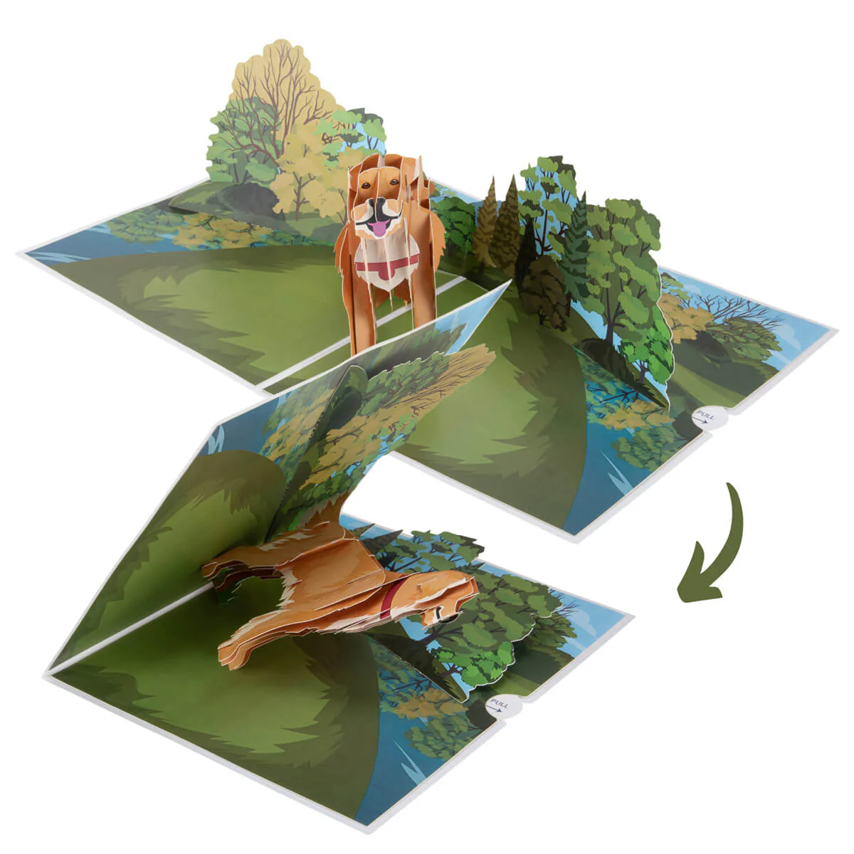 Golden Retriever Pop Up Card - Image 6