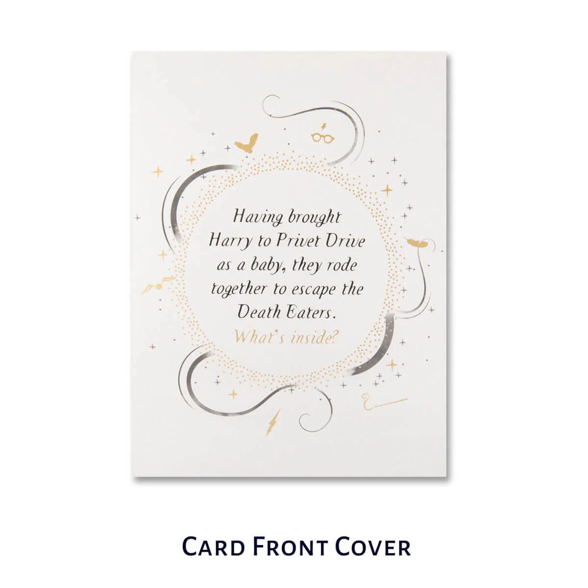Harry Potter Hagrid Pop Up Card - Image 3