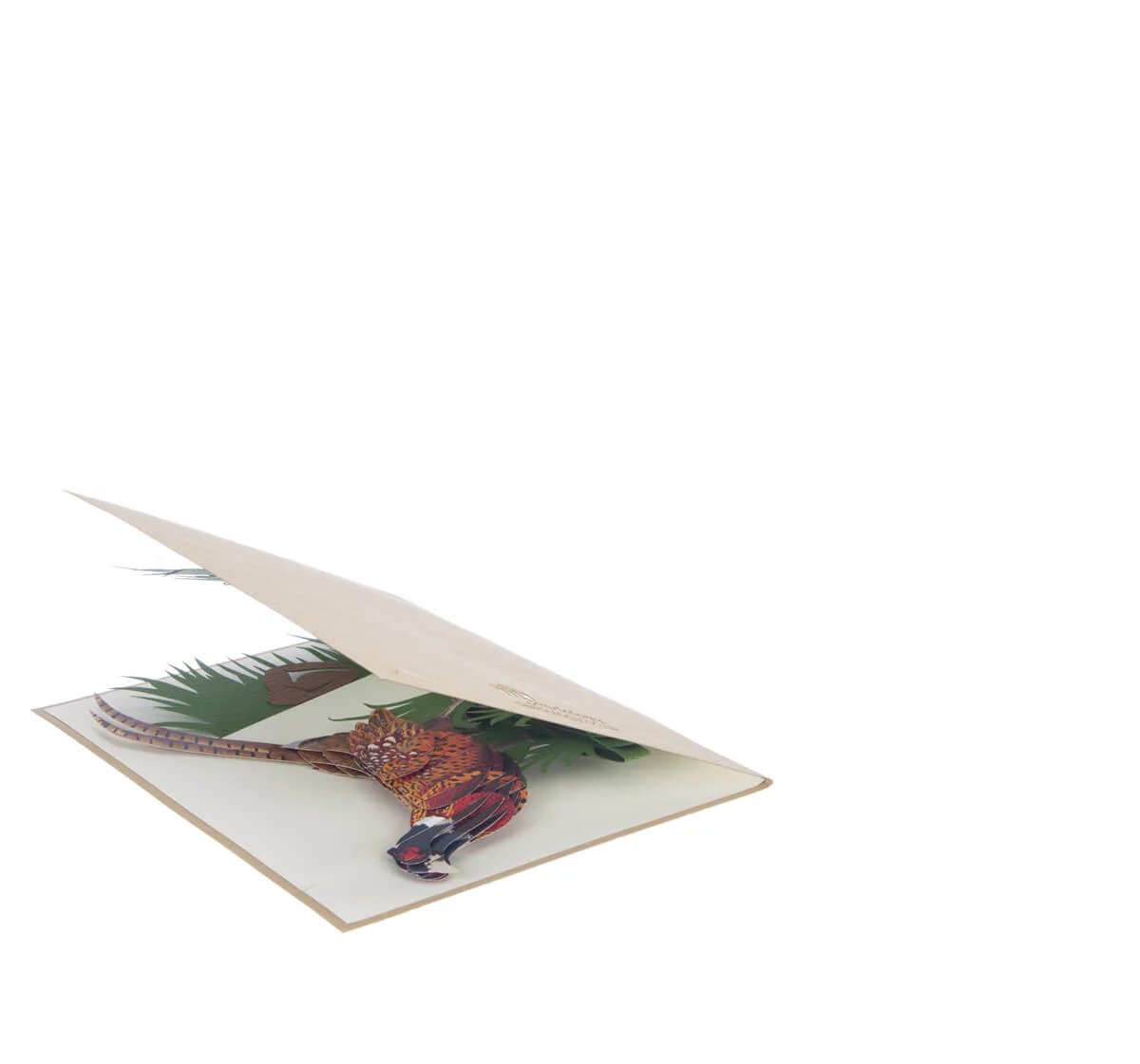 Phesant Shooting Pop Up Card - Image 5