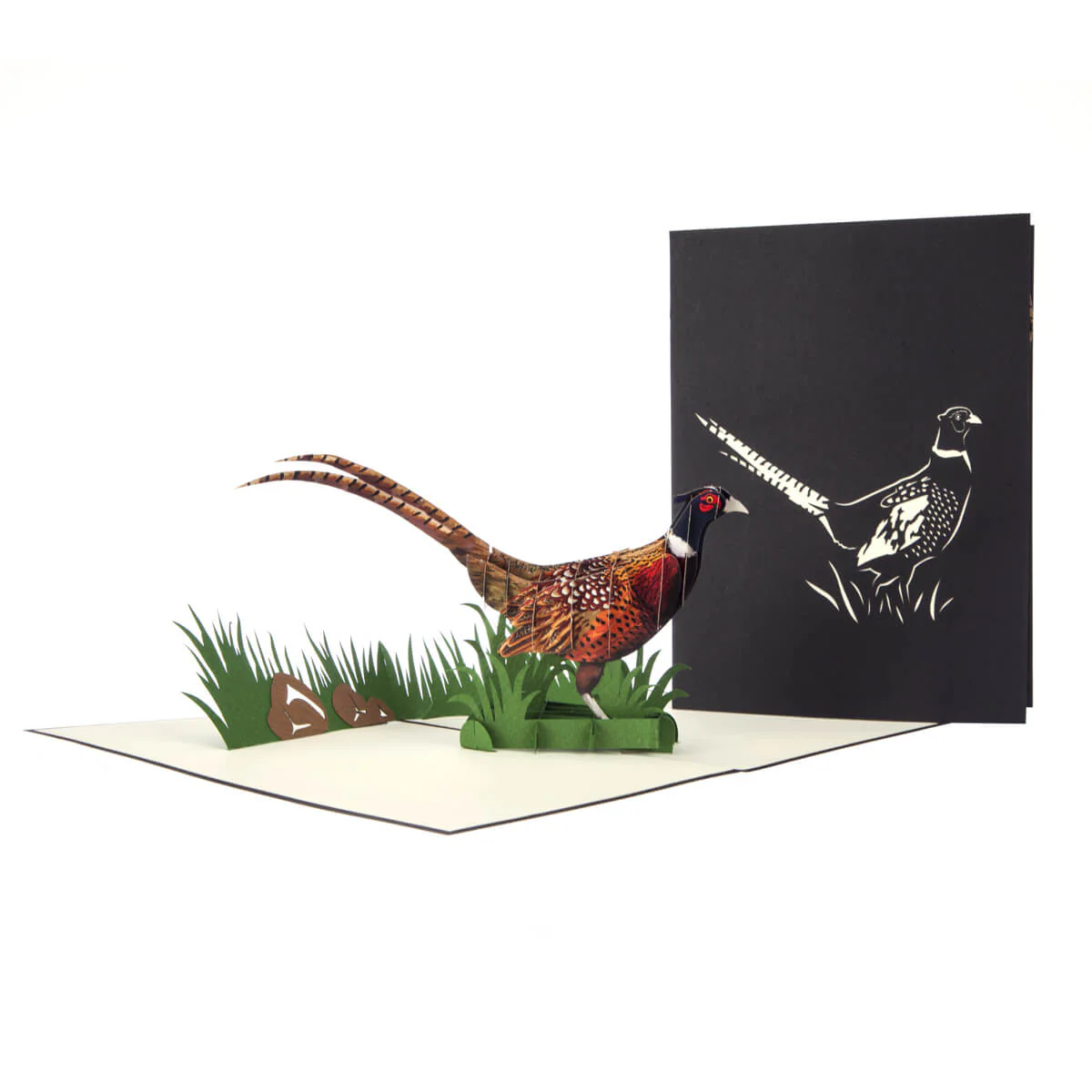 Wild Pheasant Pop Up Card - Image 3