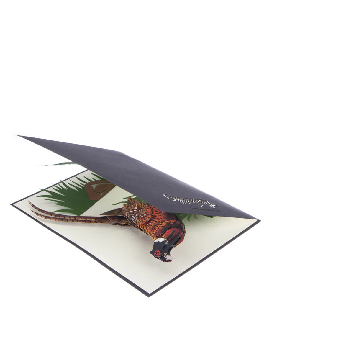 Wild Pheasant Pop Up Card - Image 6
